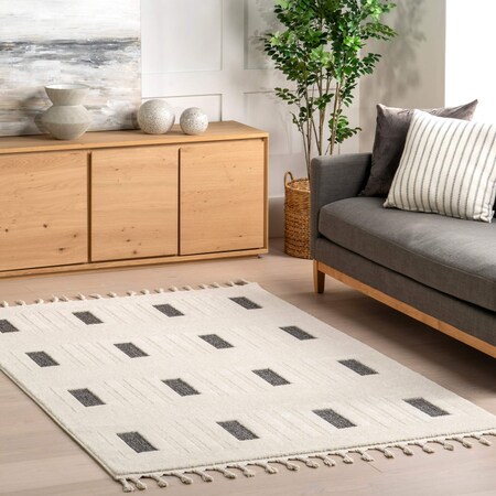 Nuloom Paccia High-Low Modern Striped Tasseled Area Rug 4ft x 6ft OZNN24A-406